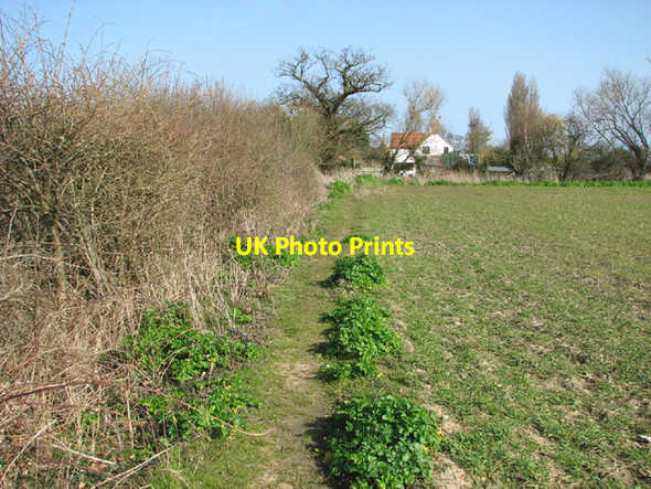 Photo 6"x4" Footpath to Glebe Farm Gisleham c2014