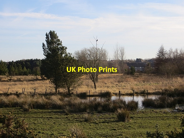 Photo 6"x4" Wetland, Barbauchlaw Armadale\/NS9368 c2014