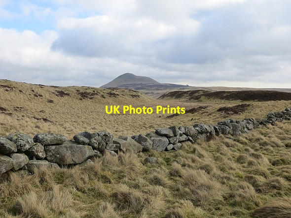 Photo 6"x4" Moorland, Lomond Hills Falkland c2014