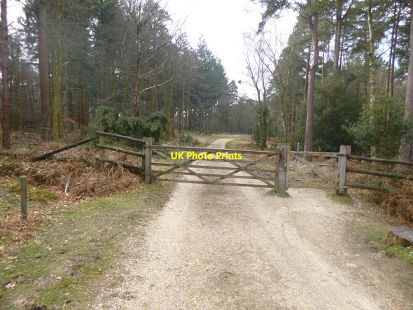 Photo 6"x4" Fritham, gates Fritham c2014