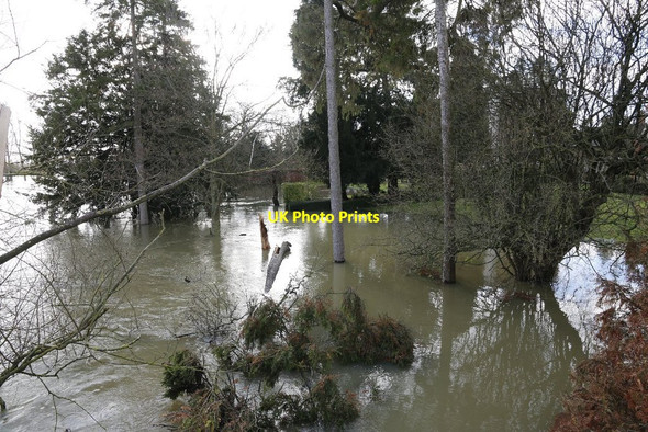 Photo 6"x4" Flooded gardens Wallingford c2014