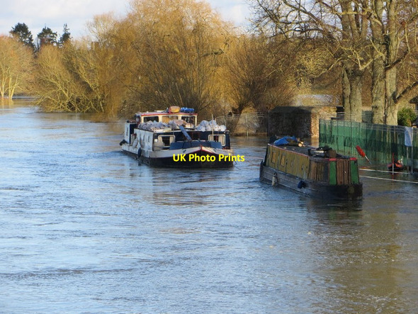 Photo 6"x4" Moored in the Floods Wallingford c2014