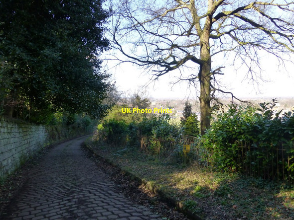 Photo 6"x4" Cobbles on Swiss Hill at Alderley Edge Alderley Edge\/SJ8478 c2014