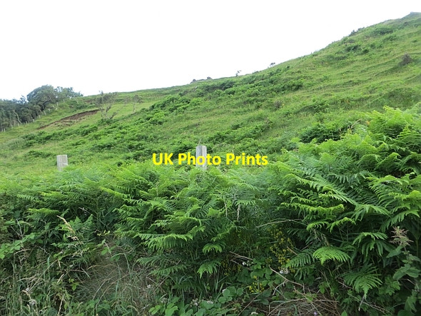 Photo 6"x4" Pasture beneath Galboly Glenariff c2013