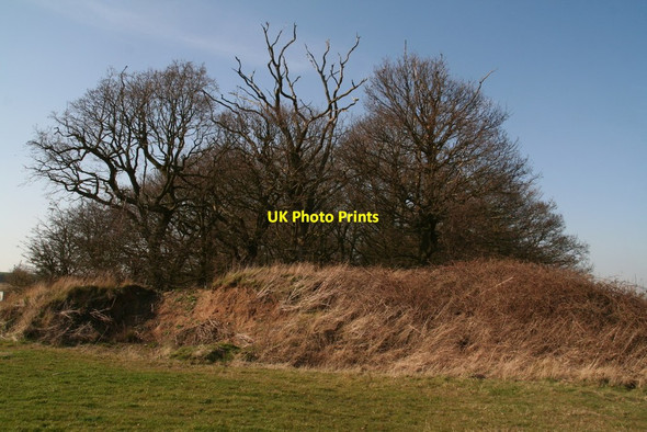 Photo 6"x4" Brock a Dale Plantation Maltby\/TF3184 c2014