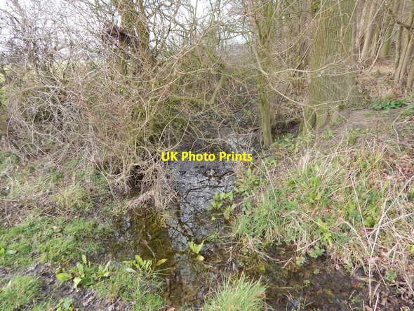 Photo 6"x4" Ditch at the edge of Bull's Cross Wood, Round Maple Round Maple c2014
