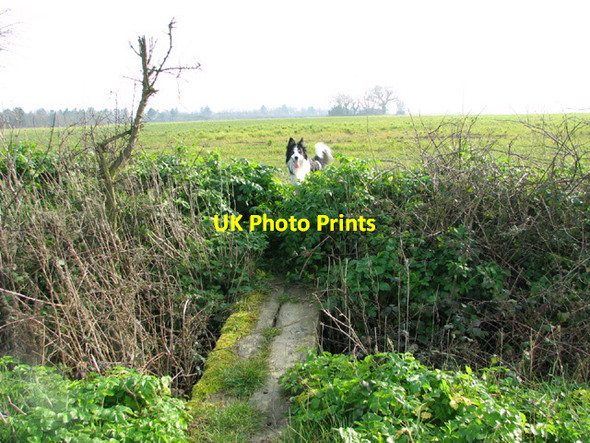 Photo 6"x4" Plank bridge over field boundary ditch Kessingland c2014
