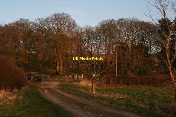 Photo 6"x4" Down the bridleway towards Cawkwell House Cawkwell c2014