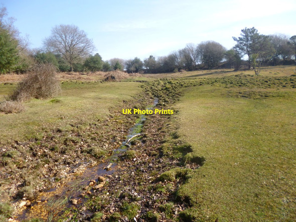 Photo 6"x4" Fritham, brook Stoney Cross c2014