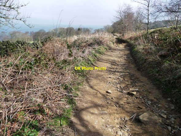 Photo 6"x4" Miller Lane [2] Otley\/SE2045 c2014