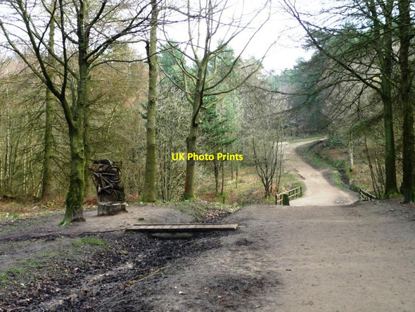 Photo 6"x4" Chevin Forest Park [8] Otley\/SE2045 c2014