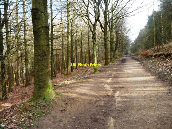 Photo 6"x4" Chevin Forest Park [10] Otley\/SE2045 c2014
