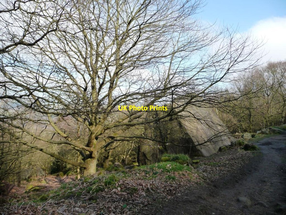 Photo 6"x4" Chevin Forest Park [13] Otley\/SE2045 c2014