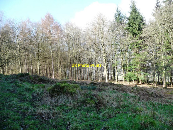 Photo 6"x4" Chevin Forest Park [15] Otley\/SE2045 c2014
