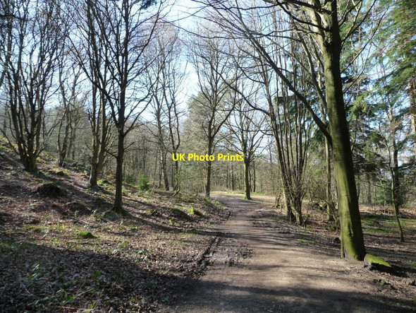 Photo 6"x4" Chevin Forest Park [16] Otley\/SE2045 c2014