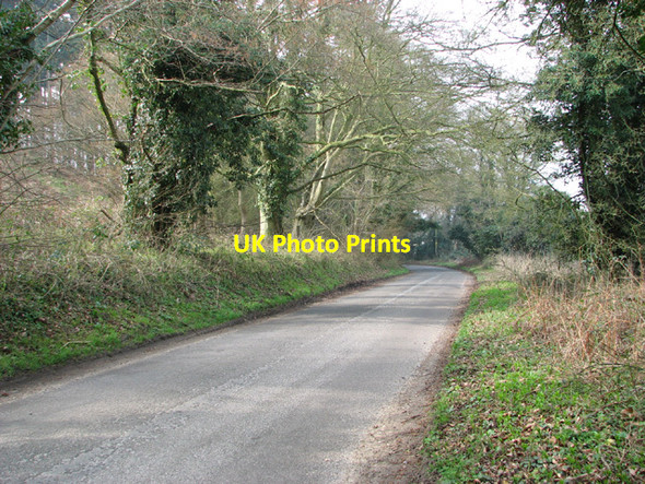 Photo 6"x4" Ringland Lane past Blackhill Wood Costessey Park c2014