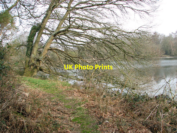 Photo 6"x4" Narrow path skirting Costessey Pits Costessey c2014