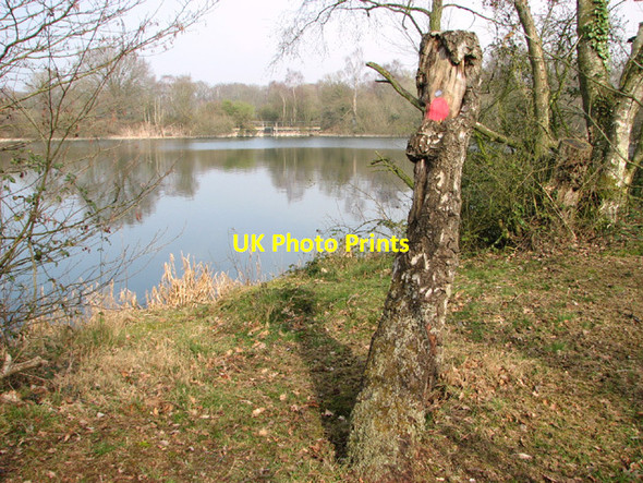 Photo 6"x4" View across Pit 3 at Costessey Pits Costessey c2014