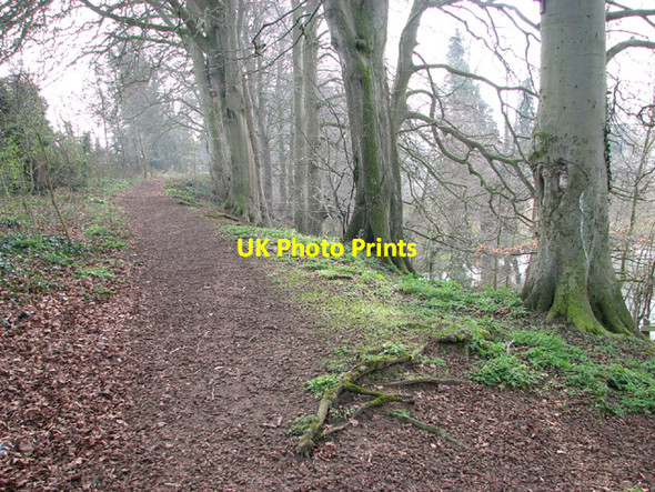 Photo 6"x4" Drayton Green Lanes footpath Costessey c2014