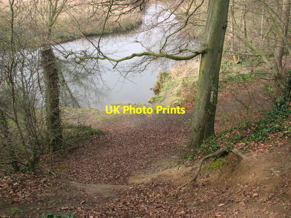 Photo 6"x4" View from Drayton Green Lanes Costessey c2014