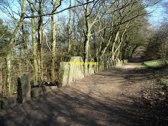 Photo 6"x4" Chevin Forest Park [21] Otley\/SE2045 c2014