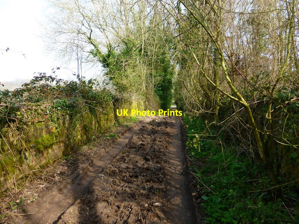 Photo 6"x4" Looking east on footpath to Sages Lane Lane End\/SU6729 c2014