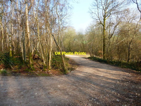 Photo 6"x4" Farm track at Woodside Farm Lane End\/SU6729 c2014