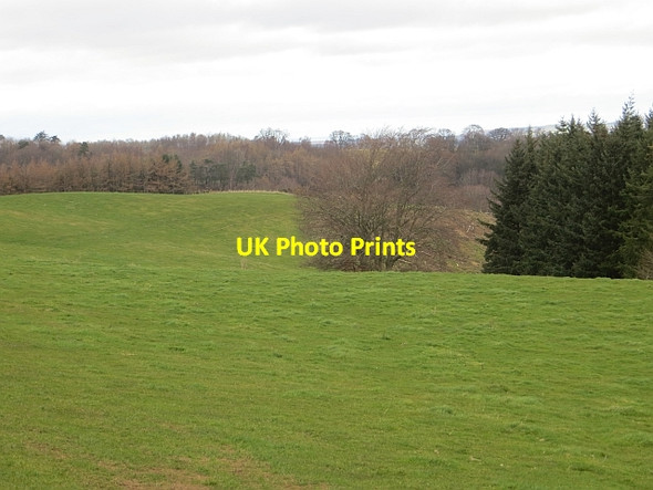 Photo 6"x4" Grass field Humbie\/NT4562 c2014