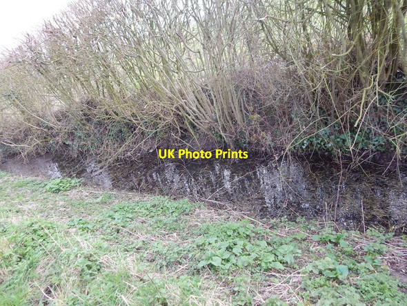 Photo 6"x4" Ditch in Round Maple (South of Flushing Farm) Round Maple c2014