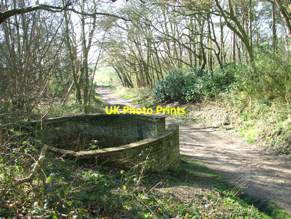 Photo 6"x4" The Somerleyton animal pound in Wadding Wood Herringfleet c2014 P1