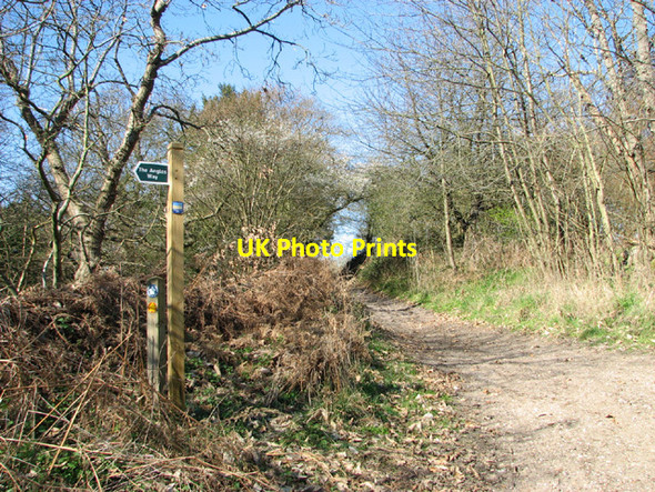 Photo 6"x4" Waddling Lane footpath junction Herringfleet c2014
