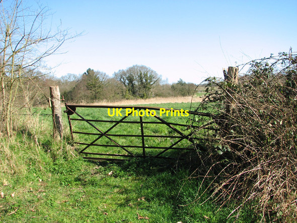 Photo 6"x4" Gate into pasture beside Waddling Lane Herringfleet c2014