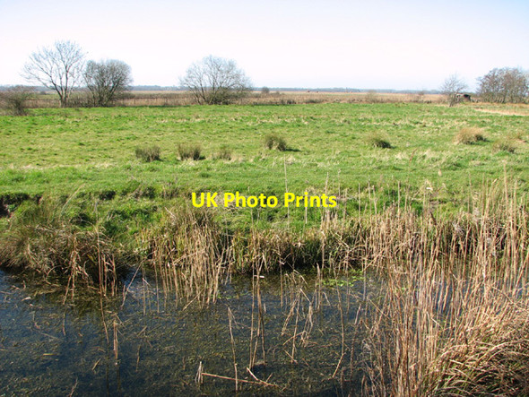 Photo 6"x4" View across marsh pasture towards railway line Herringfleet c2014