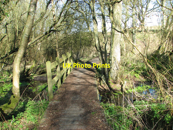 Photo 6"x4" Footbridge on boardwalk in Warren Carrs Camps Heath c2014
