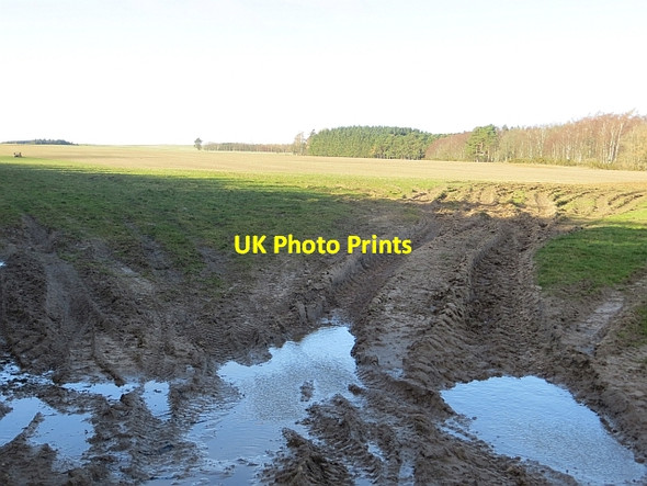 Photo 6"x4" Field, Woodhouse Bairnkine c2014