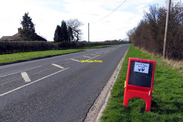 Photo 6"x4" Thame Road by Little Acre Farm Owlswick c2014