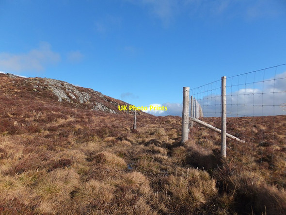 Photo 6"x4" Deer fence, Rogie Forest Craigdarroch\/NH4457 c2014
