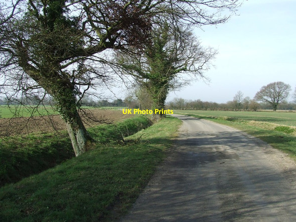 Photo 6"x4" Looking West Along Wilby Lane Brundish Street c2014