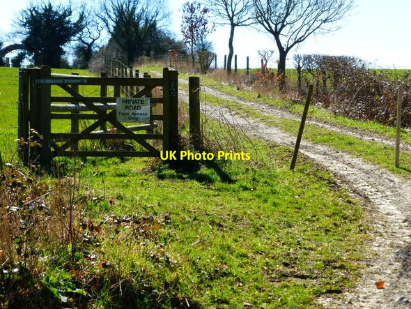Photo 6"x4" Private road going south from Gullet Lane West End\/SU6335 c2014