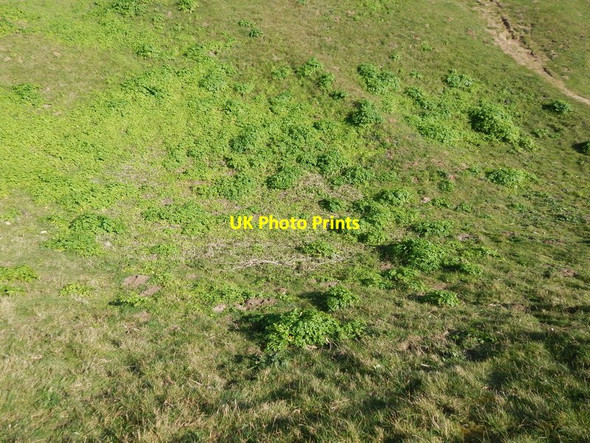 Photo 6"x4" Valley with plants in Orford Castle park Orford\/TM4249 c2014