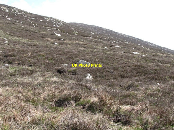 Photo 6"x4" The western slopes of Spences Mountain Annalong c2011