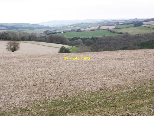 Photo 6"x4" Looking over bare fields, towards Chargot Wood Gupworthy c2014