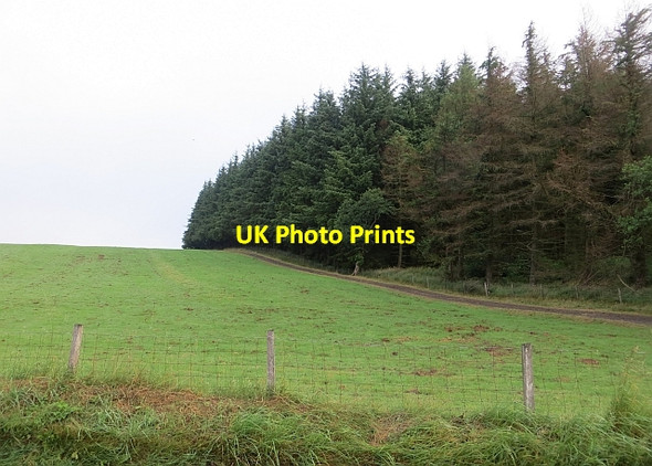 Photo 6"x4" Field off Glenariffe Road Glenariff c2013