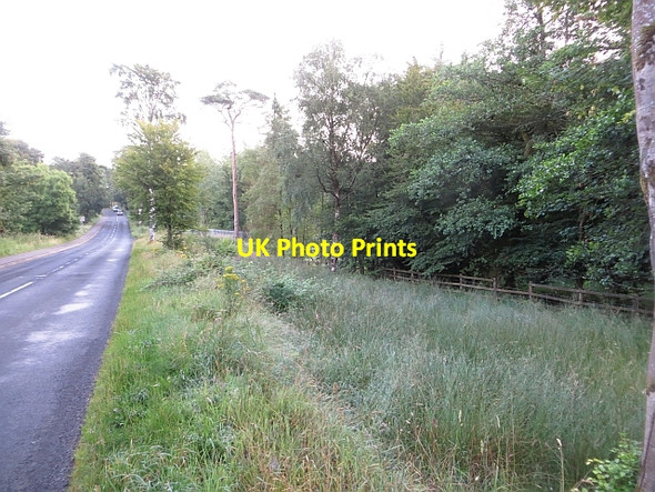Photo 6"x4" Glenravel Road Martinstown\/D1314 c2013