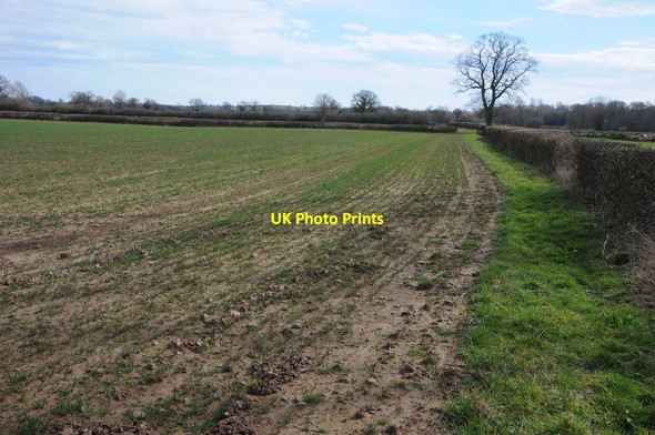 Photo 6"x4" Field headland footpath Llanvapley c2014
