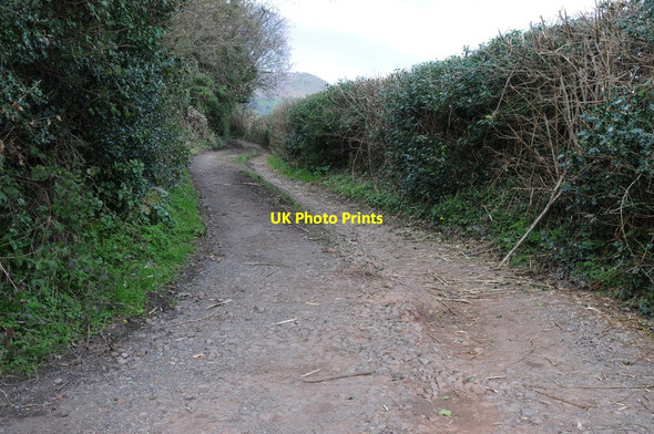 Photo 6"x4" Byway to Parsonage Farm Llanddewi Skirrid c2014