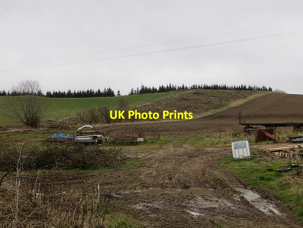 Photo 6"x4" Felled strip wood, Kippet Hill Humbie\/NT4562 c2014