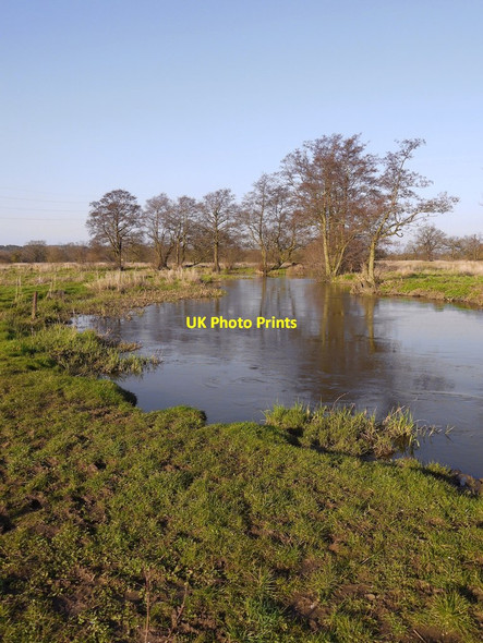 Photo 6"x4" The meandering River Wey Pyrford Green c2014