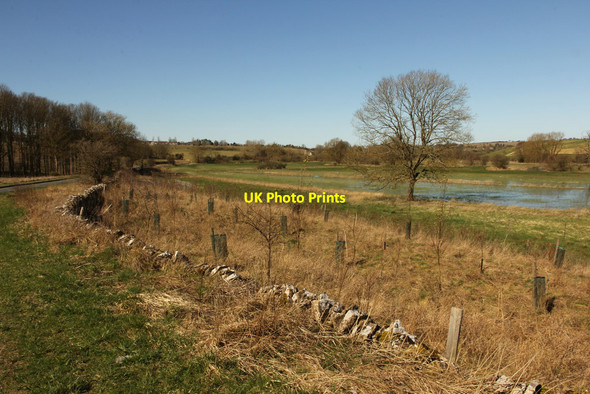 Photo 6"x4" Windrush valley Burford\/SP2512 c2014 P1