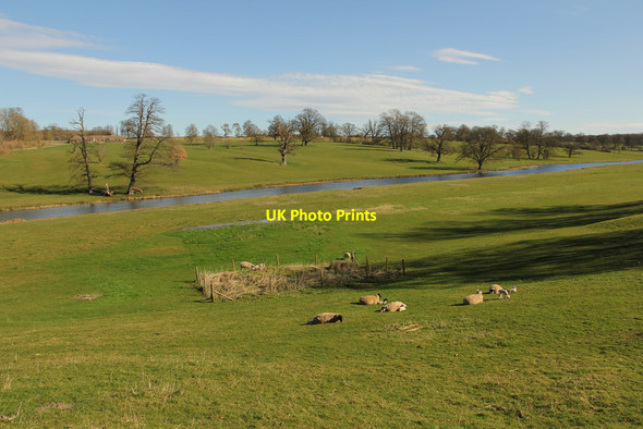 Photo 6"x4" Sherborne parkland Sherborne\/SP1714 c2014 P1
